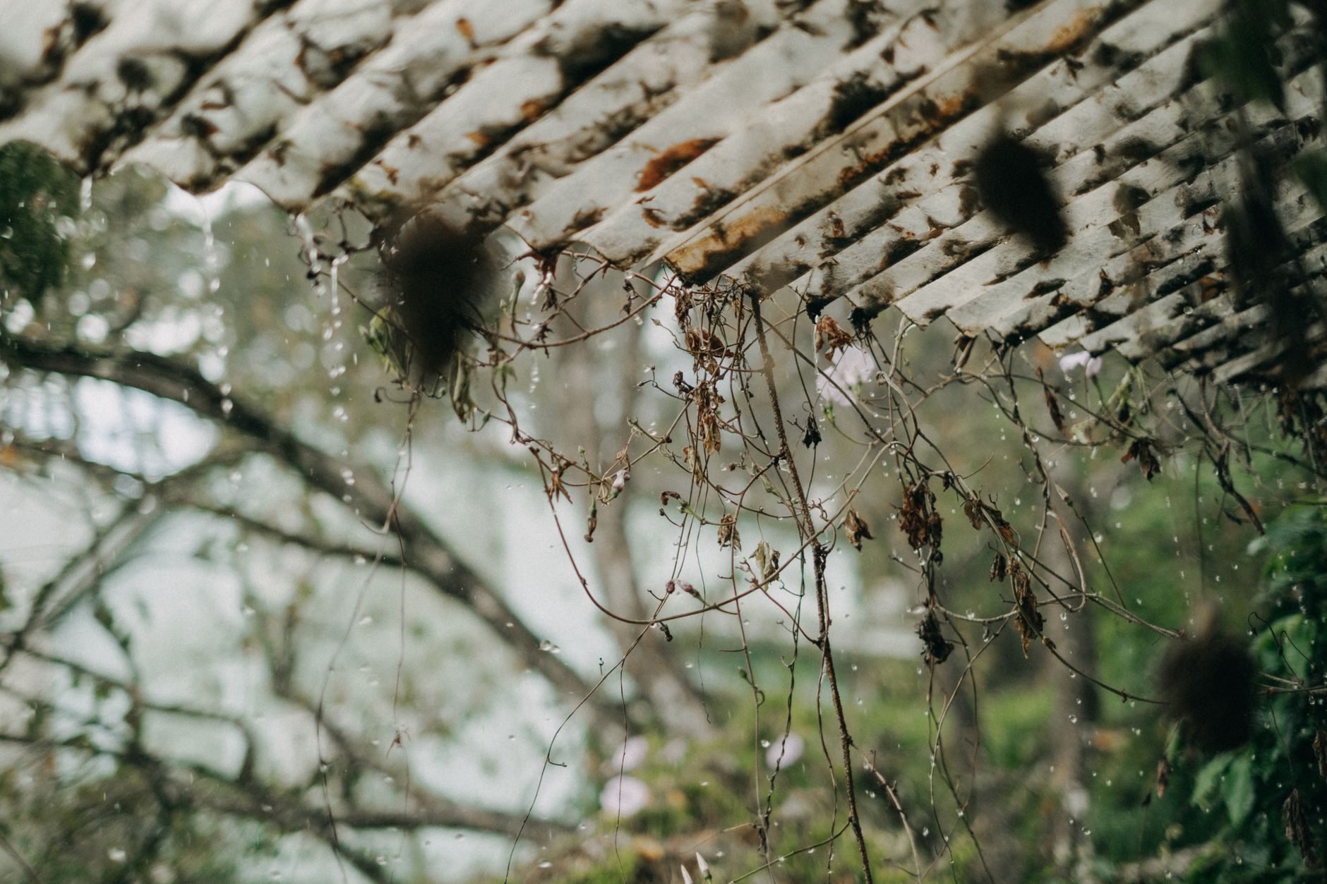 Fascia Repair – Pleasanton